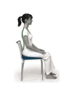 Coussin D'assise Ergonomique Sissel Sit Standard -Mobilier Sain assise ergonomique sissel sit standard 2