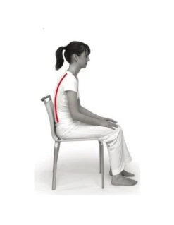 Coussin D'assise Ergonomique Sissel Sit Standard -Mobilier Sain assise ergonomique sissel sit standard 3
