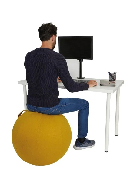 Ballon Siège ErgoBall Livraison Rapide 4 Ballon Siège ErgoBall Livraison Rapide – Image 2