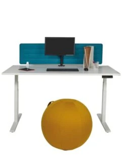 Ballon Siège ErgoBall Livraison Rapide 10 Ballon Siège ErgoBall Livraison Rapide -Mobilier Sain ballon siege ergoball livraison rapide 3