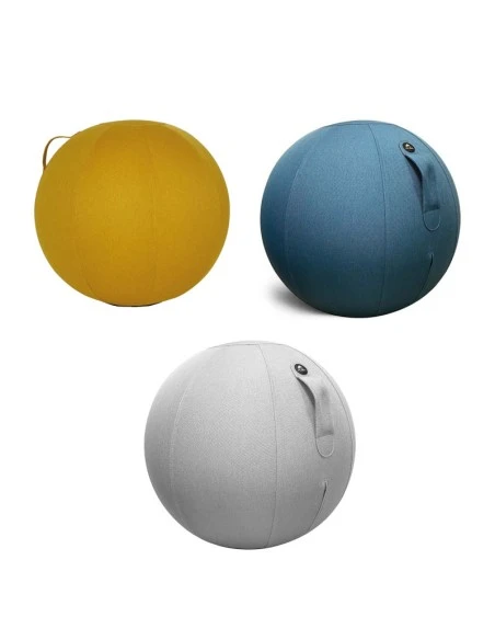 Ballon Siège ErgoBall Livraison Rapide 3 Ballon Siège ErgoBall Livraison Rapide