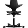 Siège Ergonomique Capisco Puls 8010 Noir Livraison Rapide 1 Siège Ergonomique Capisco Puls 8010 Noir Livraison Rapide -Mobilier Sain capisco puls 8010 noir livraison rapide
