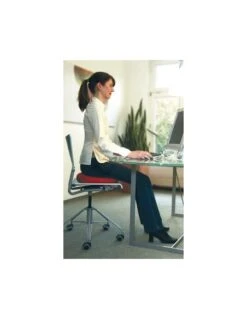 Coussin Ballon D'assise Dynamique Sissel SitFit Plus -Mobilier Sain coussin ballon 2