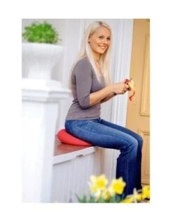 Coussin Ballon D'assise Dynamique Sissel SitFit Plus -Mobilier Sain coussin ballon 3