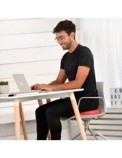 Coussin Ballon Assise Dynamique Sissel SitFit 14 Coussin Ballon Assise Dynamique Sissel SitFit -Mobilier Sain coussin ballon assise dynamique sissel sitfit 5