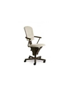 Fauteuil Ergonomique Design Moizi 18 -Mobilier Sain fauteuil ergonomique moizi 18 2