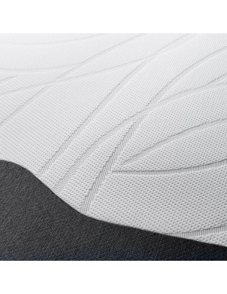 Matelas Confort Et Soutien Adaptatifs Tempur Form 6 Matelas Confort Et Soutien Adaptatifs Tempur Form – Image 4