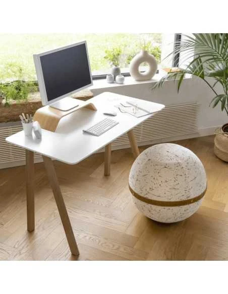 Ballon-siège Dynamique Design Bloon 4 Ballon-siège Dynamique Design Bloon – Image 2