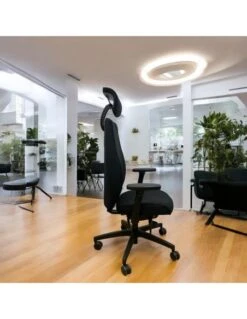 Siege Ergonomique Cesar 2.0 Livraison Rapide -Mobilier Sain siege ergonomique cesar 20 livraison rapide 2