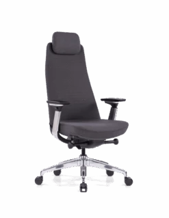 Siège Ergonomique King5 Livraison Rapide