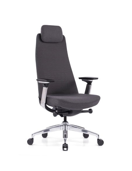 Siège Ergonomique King5 Livraison Rapide 3 Siège Ergonomique King5 Livraison Rapide