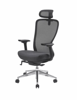 Siège Ergonomique Myback6 Livraison Rapide