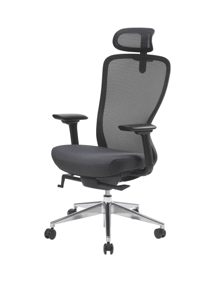 Siège Ergonomique Myback6 Livraison Rapide 3 Siège Ergonomique Myback6 Livraison Rapide