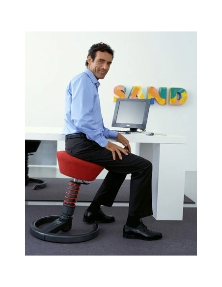 Siège Ergonomique Et Dynamique Swopper Aeris 13 Siège Ergonomique Et Dynamique Swopper Aeris – Image 11